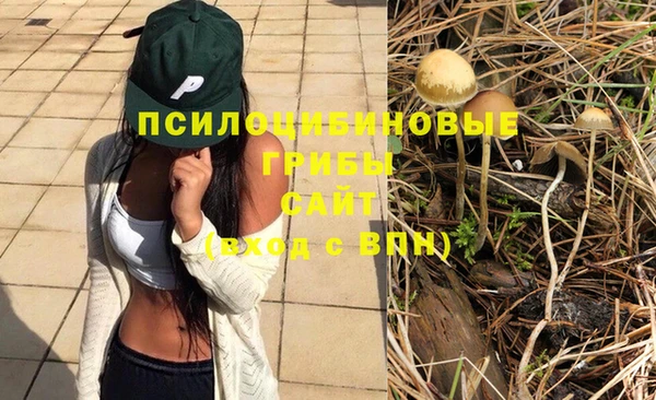 наркотики Белокуриха