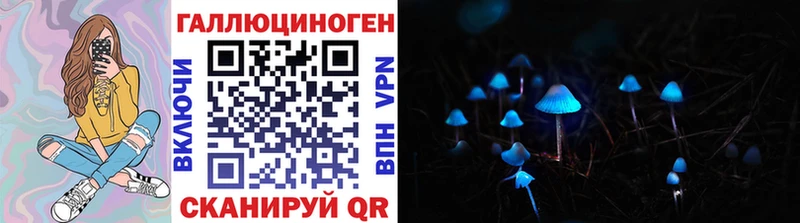 Псилоцибиновые грибы мицелий  Брюховецкая 